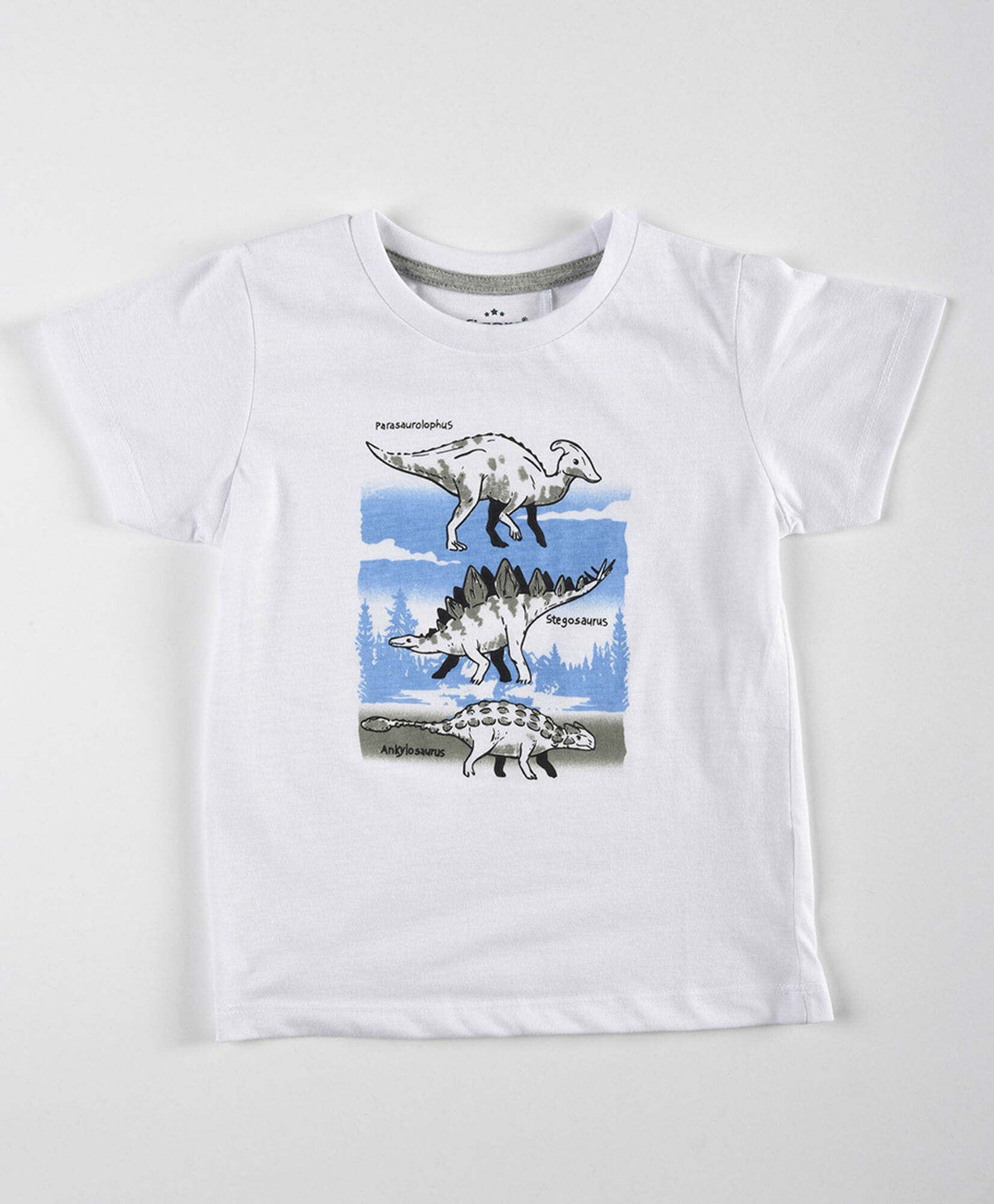 Polera bebé dinosaurios Polera bebé dinosaurios
