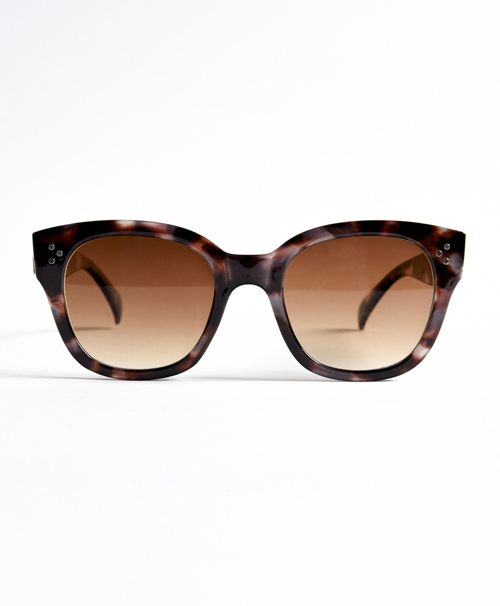 Lentes mujer clásicos animal print Lentes mujer clásicos animal print