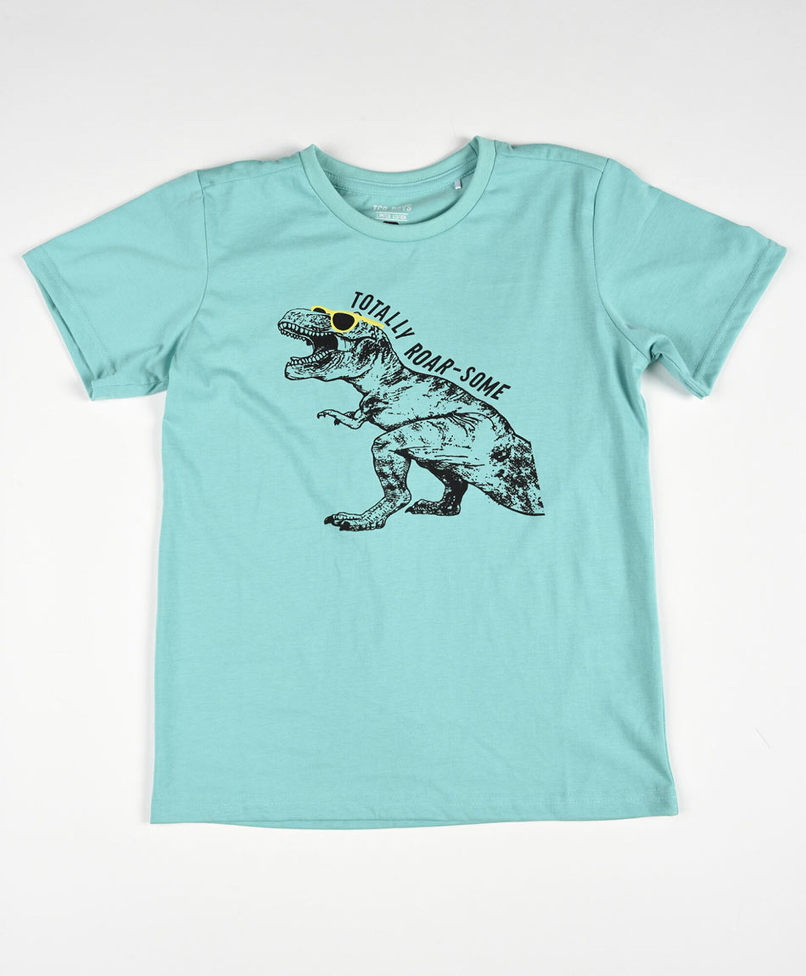 Polera niño estampado dinosaurio frase Polera niño estampado dinosaurio frase