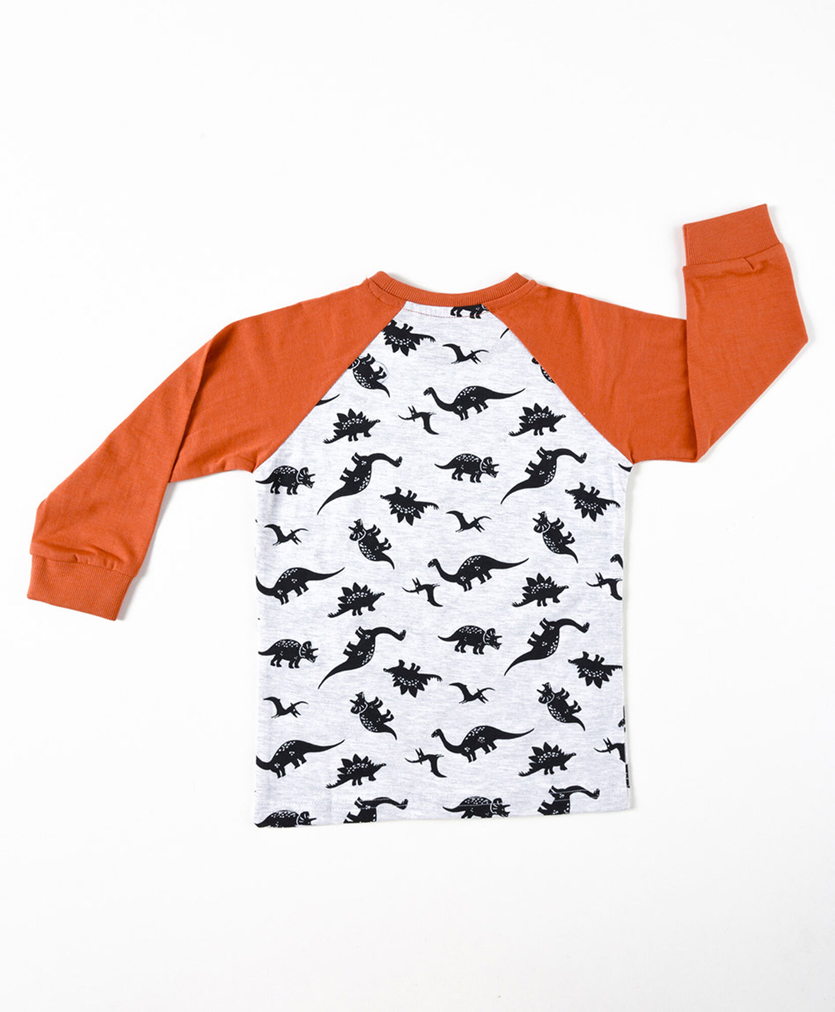 Polera bebé dinosaurio bicolor Polera bebé dinosaurio bicolor