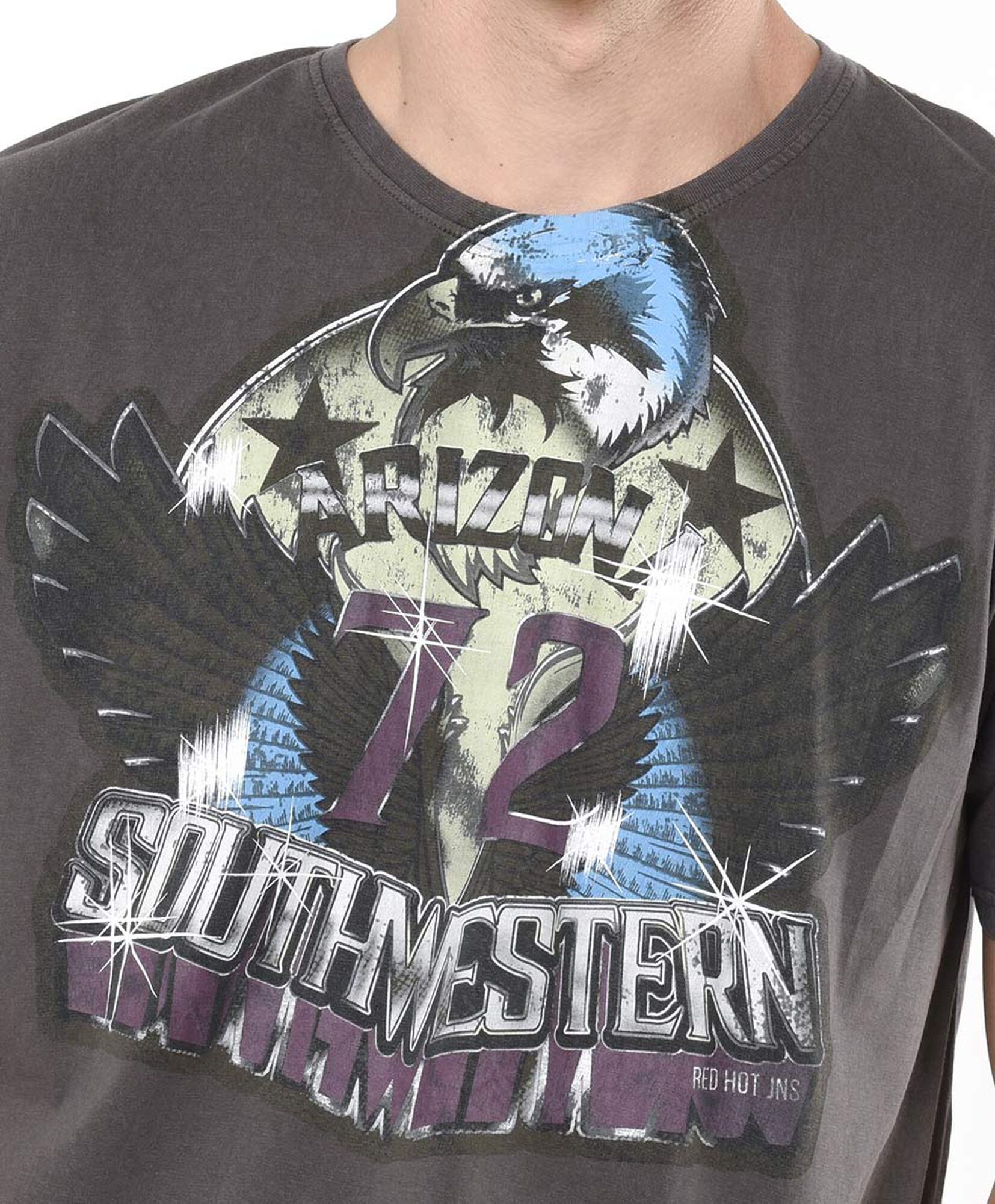 Polera hombre estampado arizona Polera hombre estampado arizona