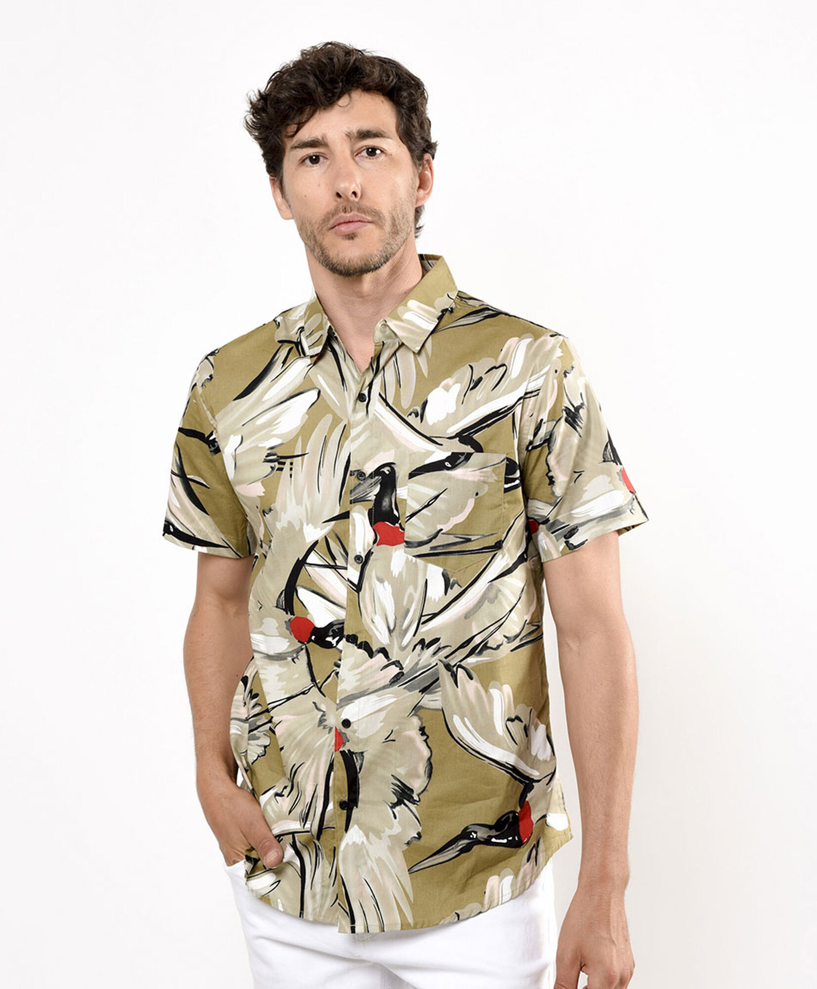 Camisa hombre estampado pájaro Camisa hombre estampado pájaro