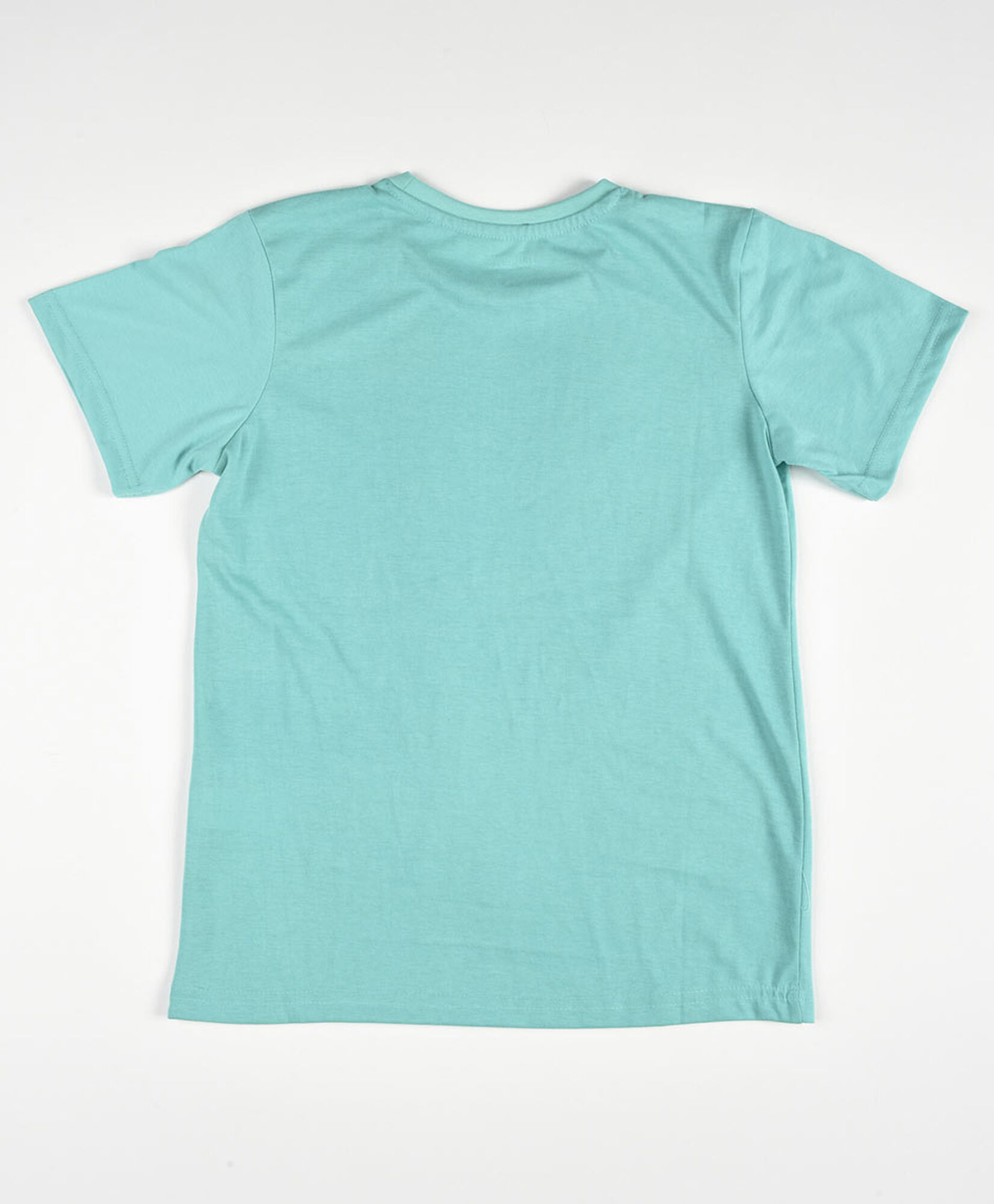 Polera niño estampado dinosaurio frase Polera niño estampado dinosaurio frase