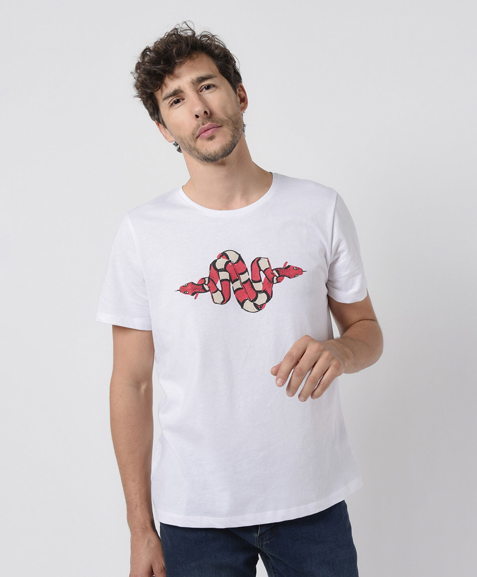 Polera hombre estampado serpientes Polera hombre estampado serpientes